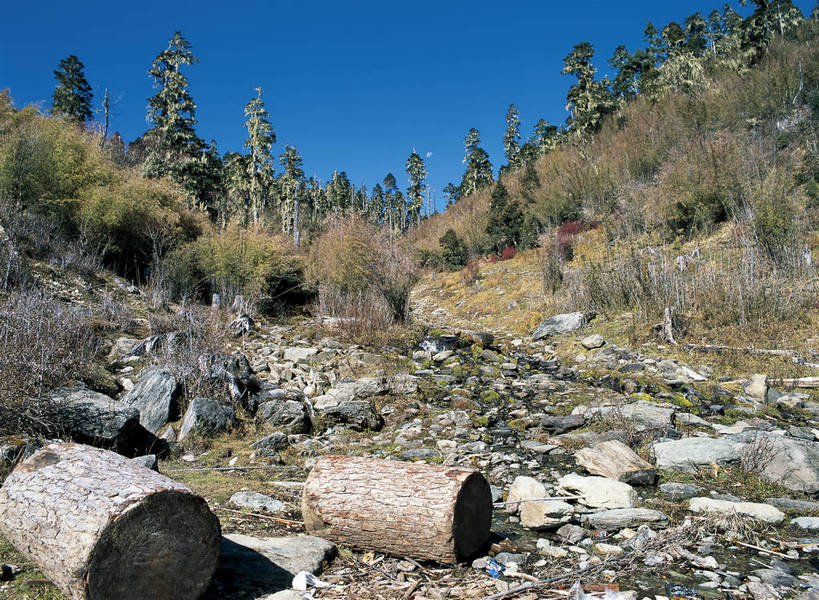 摄影师,横图,彩色,照片,室外,旅游,石头,山,植物,香格里拉,中国,亚洲,迪庆,云南,东方,草,树木,风景,自然,摄影,大自然,近景,自然风光,自然现象,东亚,摄像师,中甸,迪庆藏族自治州,云南省,中华人民共和国,西南地区,滇,迪庆州,香格里拉县,千湖山,bj174