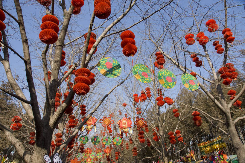 无人,摄影师,横图,彩色,室外,白天,仰视,北京,中国,春节,亚洲,节日,庆祝,民俗,冬季,庙会,文化,传统,红灯笼,东方,树木,庆典,喜庆,热闹,晴天,纪念,文明,近景,中国文化,摄像师,地坛,bj174