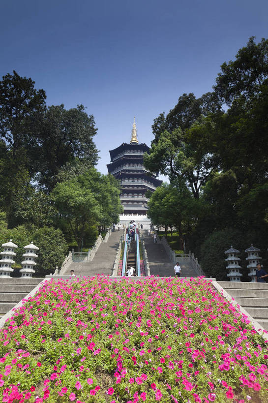 台阶,树木,石阶,旅游胜地,安静,摄影,,杭州,文明,文化,雷峰塔