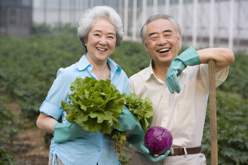 东方人,老年人,两个人,菜园,农田,农场,笑,微笑,露齿笑,横图,室外