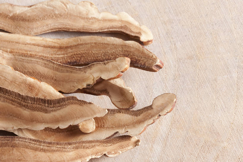 无人,横图,俯视,留白,灵芝,静物,中国,亚洲,准备,堆叠,干燥,材料,调料,香料,食品,草药,药草,调味品,饮食,健康,摄影,中医,东亚,彩图,高角度拍摄,影棚拍摄,成分,bj175