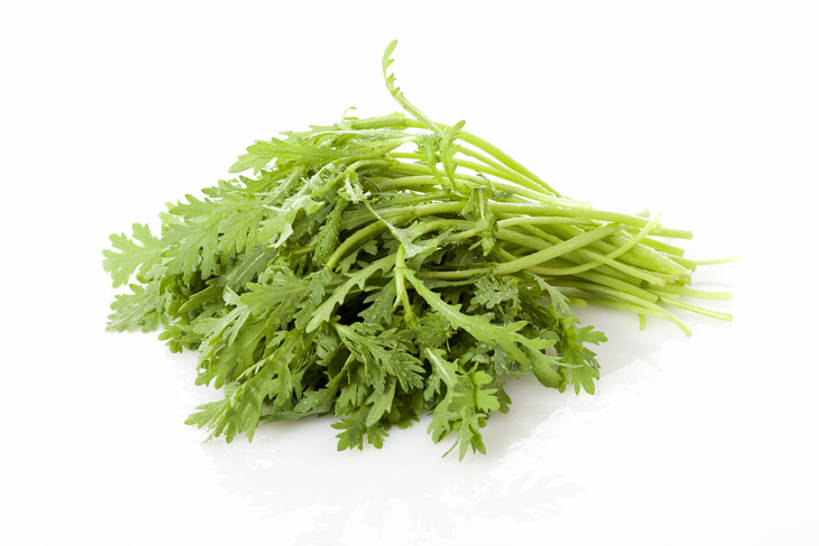 无人,横图,留白,白色背景,农业,蔬菜,静物,叶子,准备,堆叠,反射,食品,茎,饮品,捆,饮食,食物,饮料,绿色,摄影,有机食品,简单,可口,清新,健康食物,纯净,茼蒿,适口,彩图,影棚拍摄,bj175