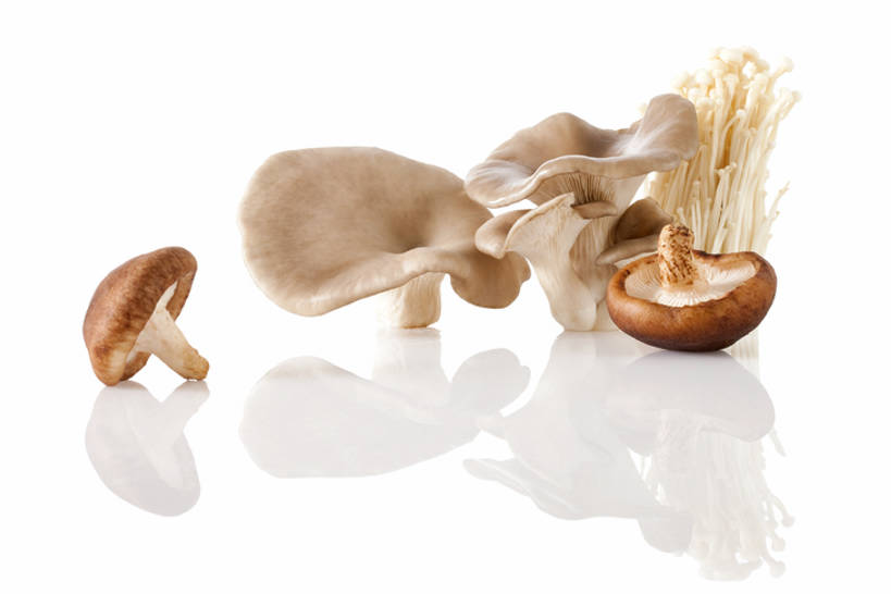 无人,横图,特写,留白,白色背景,农业,蔬菜,静物,北京,亚洲,准备,反射,金针菇,蘑菇,香菇,生食,食品,饮品,饮食,食物,饮料,健康,食用菌,摄影,有机食品,蚝蘑,简单,膳食,可口,清新,东亚,健康食物,纯净,适口,彩图,影棚拍摄,bj175