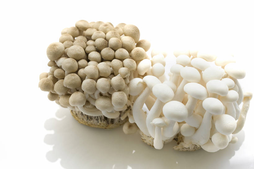 无人,横图,特写,留白,抠图,白色背景,蔬菜,静物,北京,中国,亚洲,准备,丰富,反射,材料,蘑菇,生食,美味,食品,饮品,营养,饮食,餐饮,食物,饮料,健康,素食,食用菌,摄影,有机食品,维生素,真菌,膳食,可口,清新,东亚,健康食物,姬菇,适口,蟹味菇,彩图,影棚拍摄,白玉菇,bj175