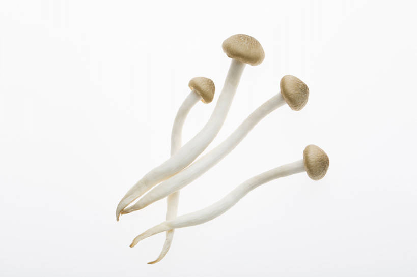 无人,横图,特写,留白,抠图,蔬菜,静物,北京,中国,亚洲,准备,灰色背景,材料,蘑菇,生食,美味,食品,饮品,营养,饮食,餐饮,食物,饮料,四个,健康,素食,食用菌,摄影,有机食品,维生素,真菌,膳食,可口,清新,东亚,健康食物,姬菇,适口,蟹味菇,彩图,高角度拍摄,影棚拍摄,bj175