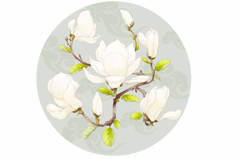 无人,横图,彩色,插画,留白,白色背景,幸福,运气,数码,科技,玉兰花,阴影,装饰,网络,圆形,符号,高光,几何,计算机图形,祝福,合成,图画,传统,画,祥云,花,花朵,白色,花束,春天,美女,财富,摄影,影棚,五颜六色,色彩斑斓,电脑合成图,数码合成图,珍贵,优美,合成图,中国文化,摄影棚,五彩缤纷,工笔画,古典风格,漫画,纯净,辛夷,写实,具体,具象,五彩斑斓,木兰花,五光十色,玉兰,应春花,木兰,白玉兰,玉树,彩图,影棚拍摄,欢乐,拍摄,望春,传统文化,玉堂春,bj175