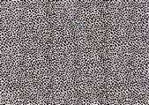 tkf001_107743