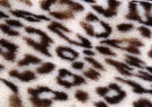 tkf001_107747