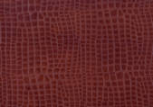 tkf001_108713