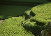 tkf001_110007