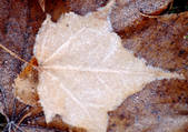 tkf001_110060