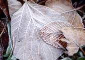 tkf001_110061