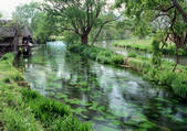 tkf001_110399