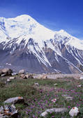 tkf001_110567