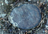 tkf001_111242