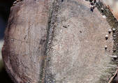 tkf001_111244