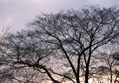 tkf001_111281