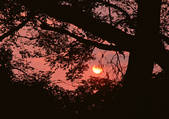 tkf001_111285