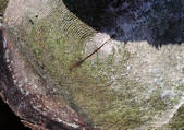 tkf001_111366