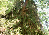 tkf001_111685