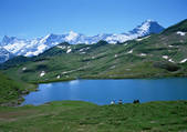 tkf001_111764