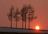 tkf001_111815