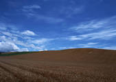 tkf001_111856