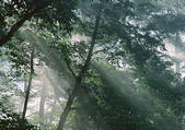 tkf001_111948