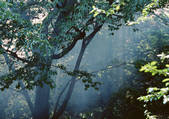 tkf001_111950