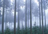 tkf001_111956