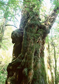 tkf001_112343