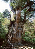 tkf001_112347