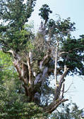 tkf001_112354