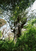 tkf001_112356