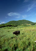 tkf001_112777