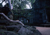 tkf001_113029