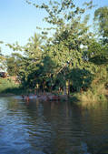 tkf001_113030