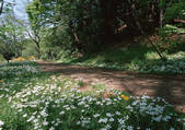 tkf001_113238
