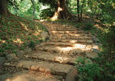 tkf001_113355
