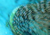 tkf001_113400
