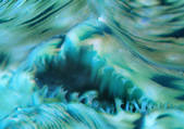 tkf001_113401