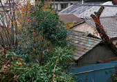 tkf001_113551