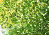 tkf001_113555