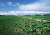 tkf001_113704