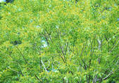 tkf001_114835
