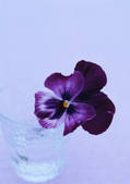 tkf001_115936