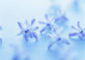 tkf001_116431
