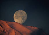 tkf001_117694