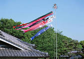 tkf001_119267
