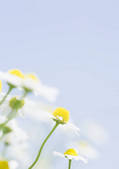 tkf001_120494